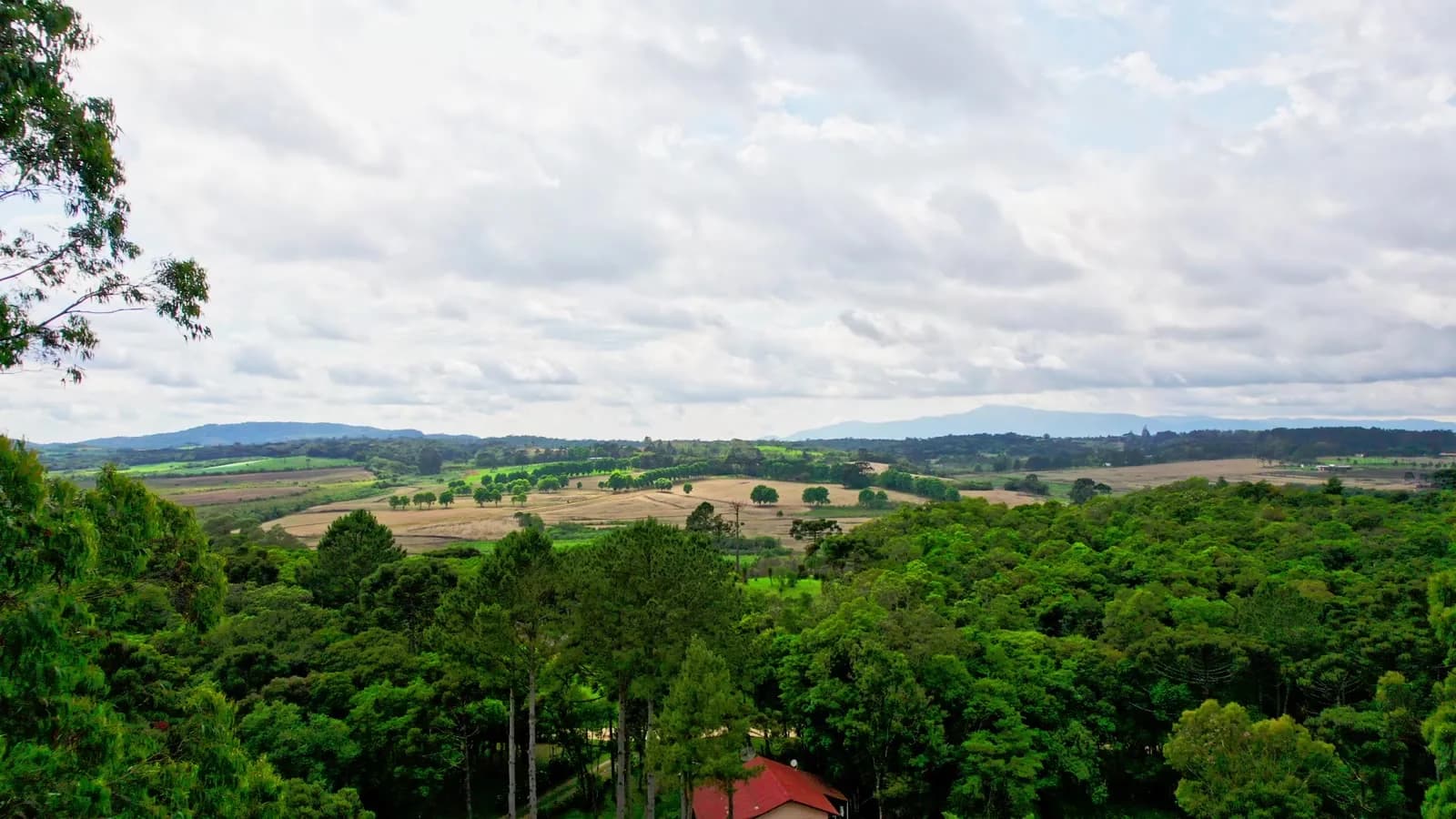 Natureza no Villa Passaredo