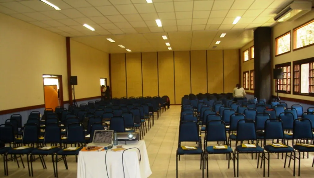 Bem-te-vi